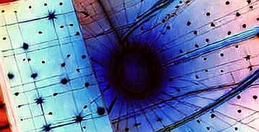 The Market Cap Drop and the 29% Probability: Tracing the Invariant Where the Logic Fractures